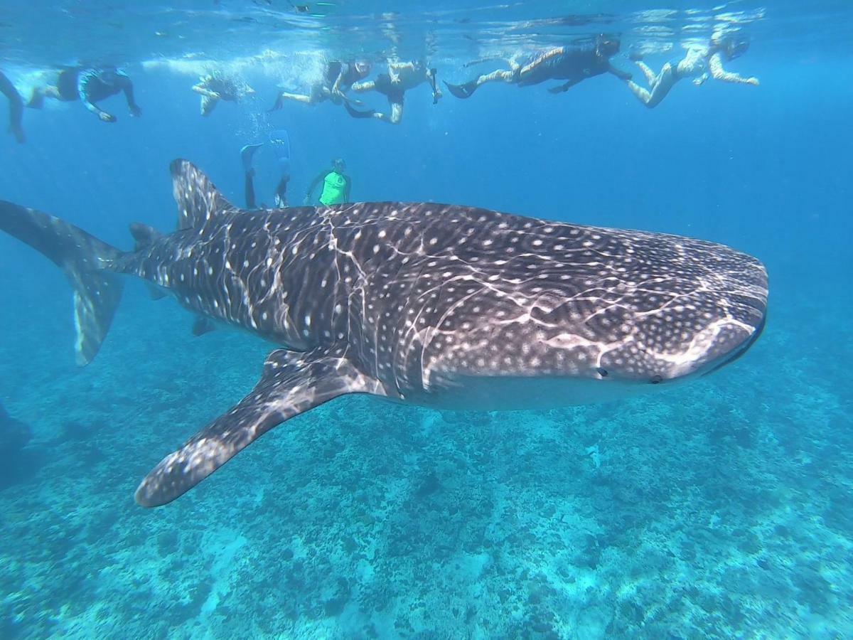 Lagoon View Maldives Bodufolhudhoo Εξωτερικό φωτογραφία